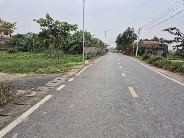 Bất động sản tại Hải Phòng - ảnh 1