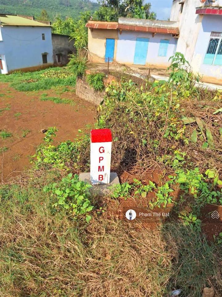 Bất động sản tại Lâm Đồng - ảnh 1