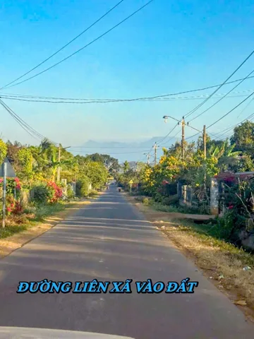 Bất động sản tại Đắk Lắk - ảnh 1