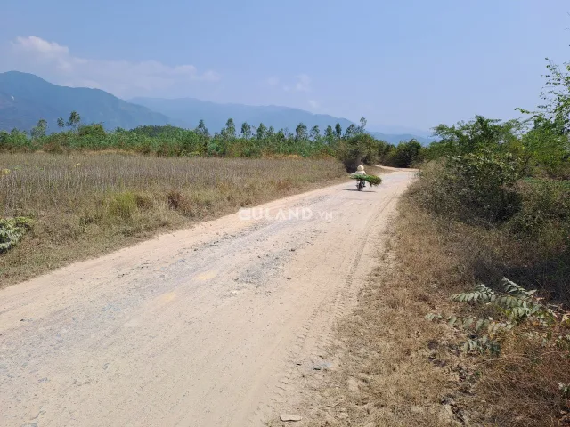 Bất động sản tại Khánh Hòa - ảnh 1