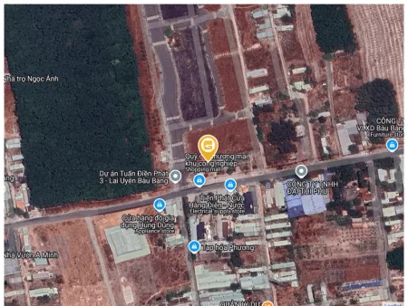 Bất động sản tại Bình Dương - ảnh 1