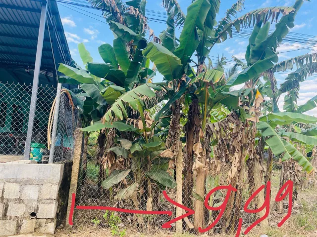 Bất động sản tại Khánh Hòa - ảnh 1