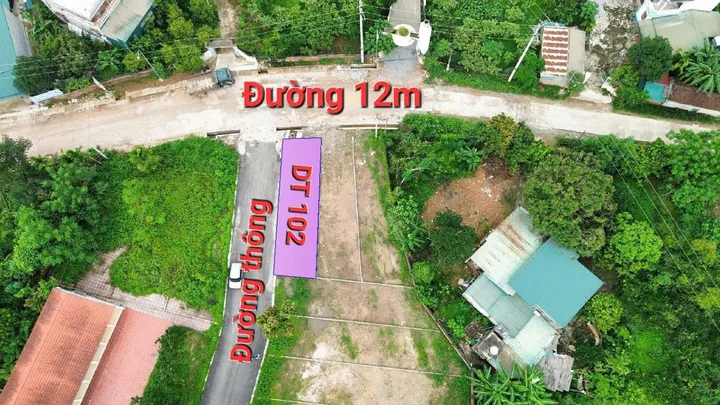 Bất động sản tại Phú Thọ - ảnh 1