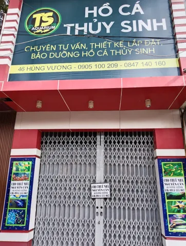 Bất động sản tại Đắk Lắk - ảnh 1