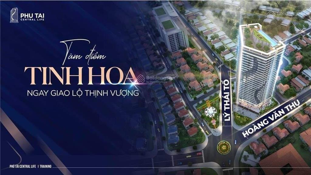 Bất động sản tại Bình Định - ảnh 1