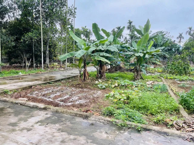 Bất động sản tại Hải Phòng - ảnh 1