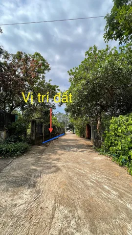 Bất động sản tại Bà Rịa - Vũng Tàu - ảnh 1