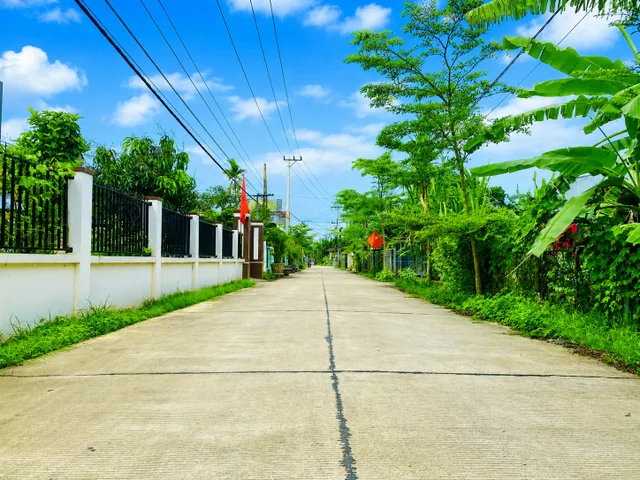 Bất động sản tại Đà Nẵng - ảnh 1