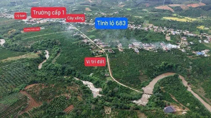 Bất động sản tại Lâm Đồng - ảnh 1