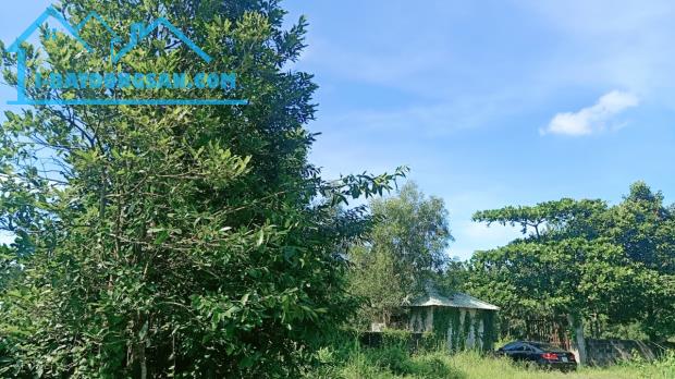 Bất động sản tại Bà Rịa - Vũng Tàu - ảnh 1