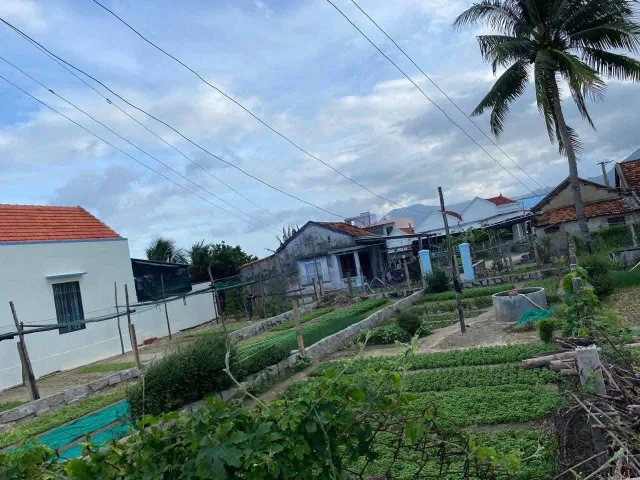 Bất động sản tại Khánh Hòa - ảnh 1