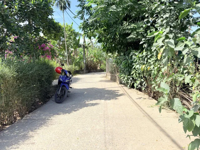 Bất động sản tại Đà Nẵng - ảnh 1