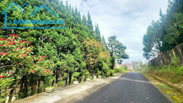 Bất động sản tại Lâm Đồng - ảnh 1