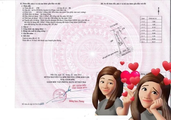Bất động sản tại Đắk Lắk - ảnh 1
