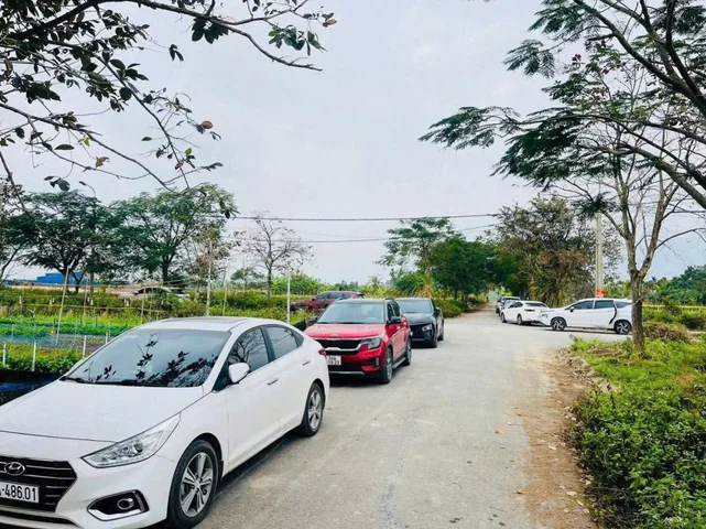 Bất động sản tại Hải Phòng - ảnh 1