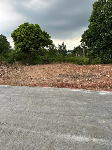 Bất động sản tại Thái Nguyên - ảnh 1