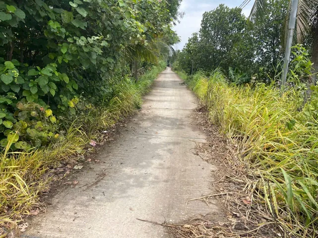 Bất động sản tại Long An - ảnh 1