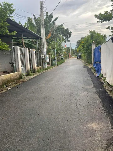 Bất động sản tại Bình Dương - ảnh 1