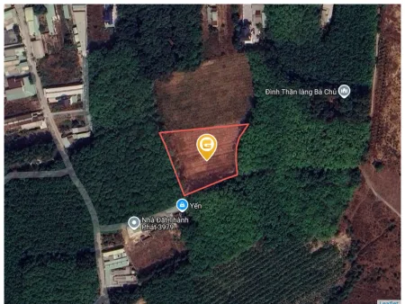Bất động sản tại Bình Dương - ảnh 1