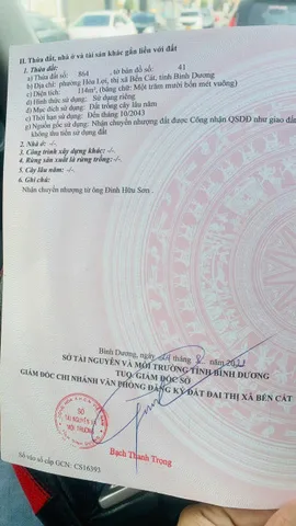 Bất động sản tại Bình Dương - ảnh 1