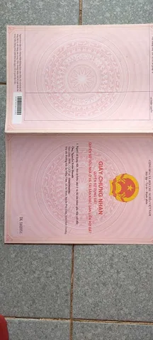 Bất động sản tại Bình Dương - ảnh 1