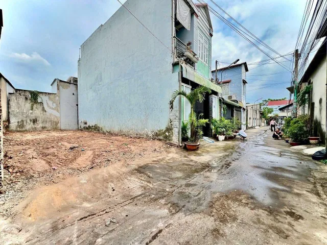 Bất động sản tại Đồng Nai - ảnh 1
