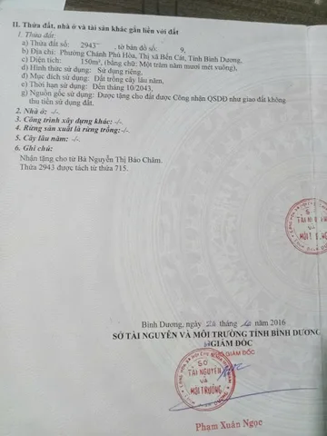Bất động sản tại Bình Dương - ảnh 1
