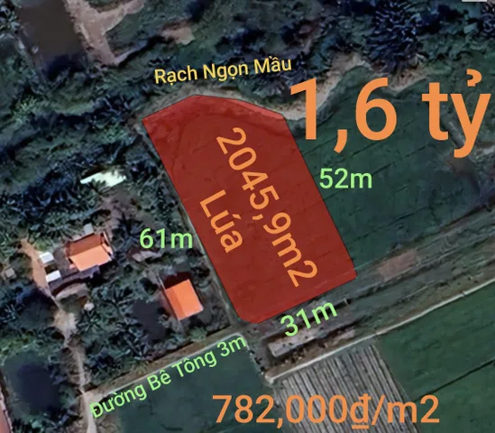 Bất động sản tại Tây Ninh - ảnh 1