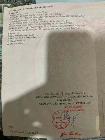 Bất động sản tại Đắk Lắk - ảnh 1