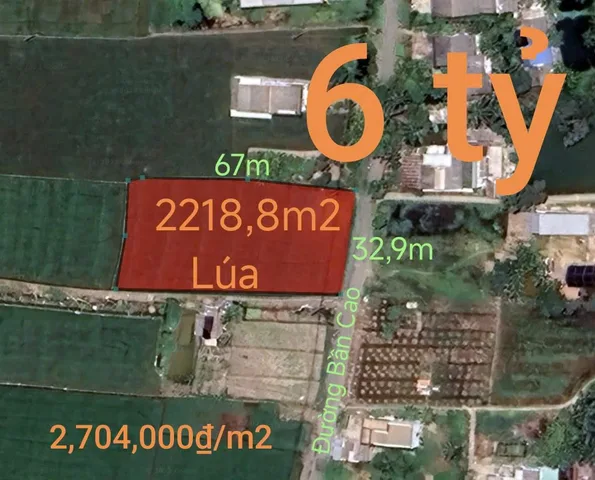 Bất động sản tại Long An - ảnh 1
