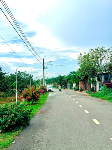 Bất động sản tại Bình Dương - ảnh 1