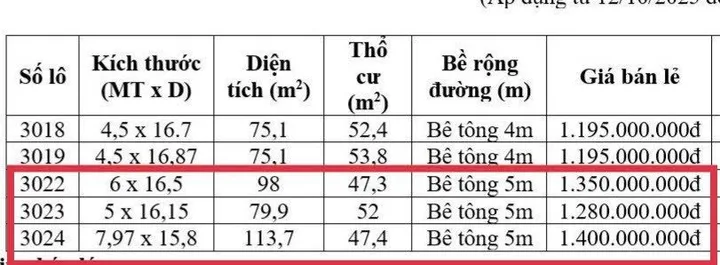 Bất động sản tại Bình Dương - ảnh 1