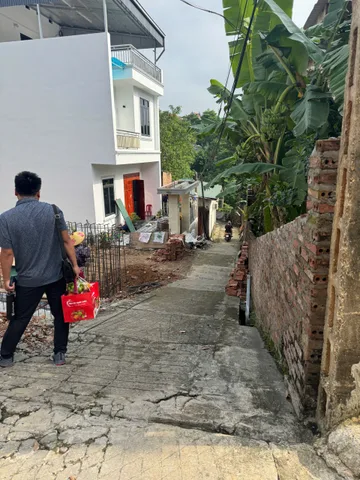 Bất động sản tại Phú Thọ - ảnh 1