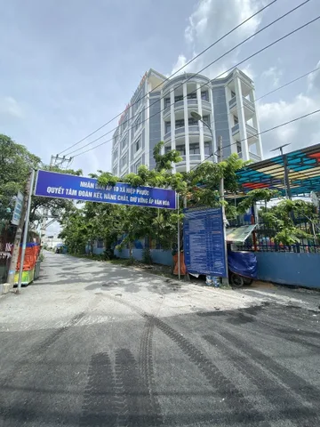 Bất động sản tại TP. Hồ Chí Minh - ảnh 1
