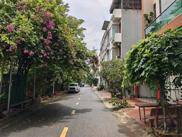 Bất động sản tại Phú Thọ - ảnh 1