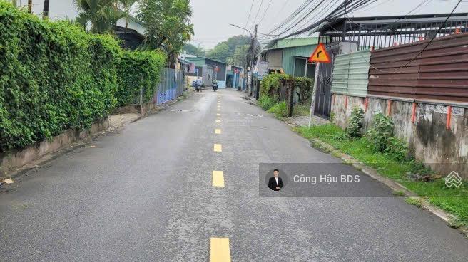Bất động sản tại Bình Dương - ảnh 1