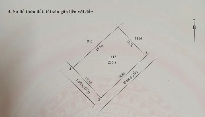 Bất động sản tại Quảng Trị - ảnh 1