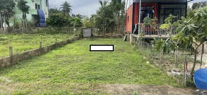 Bất động sản tại Đà Nẵng - ảnh 1