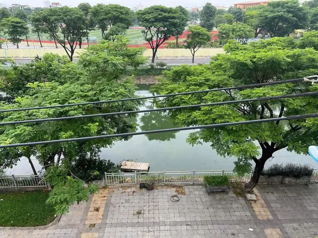 Bất động sản tại Đà Nẵng - ảnh 1