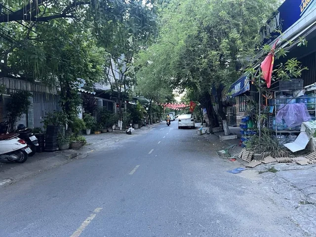 Bất động sản tại Đà Nẵng - ảnh 1