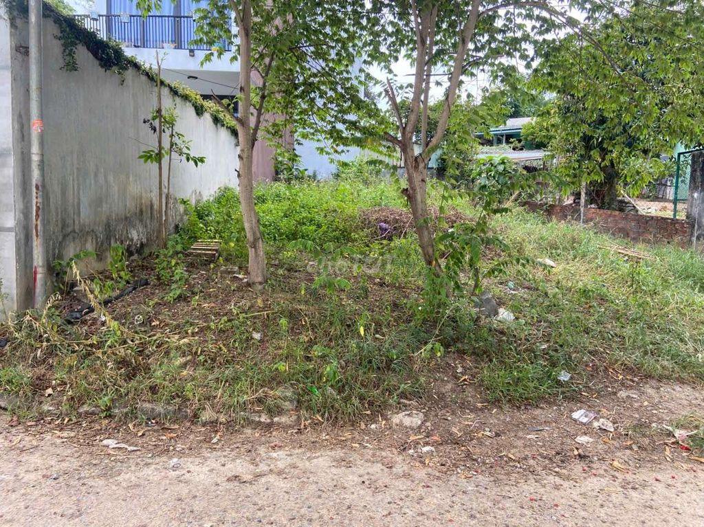 Bất động sản tại Đà Nẵng - ảnh 1