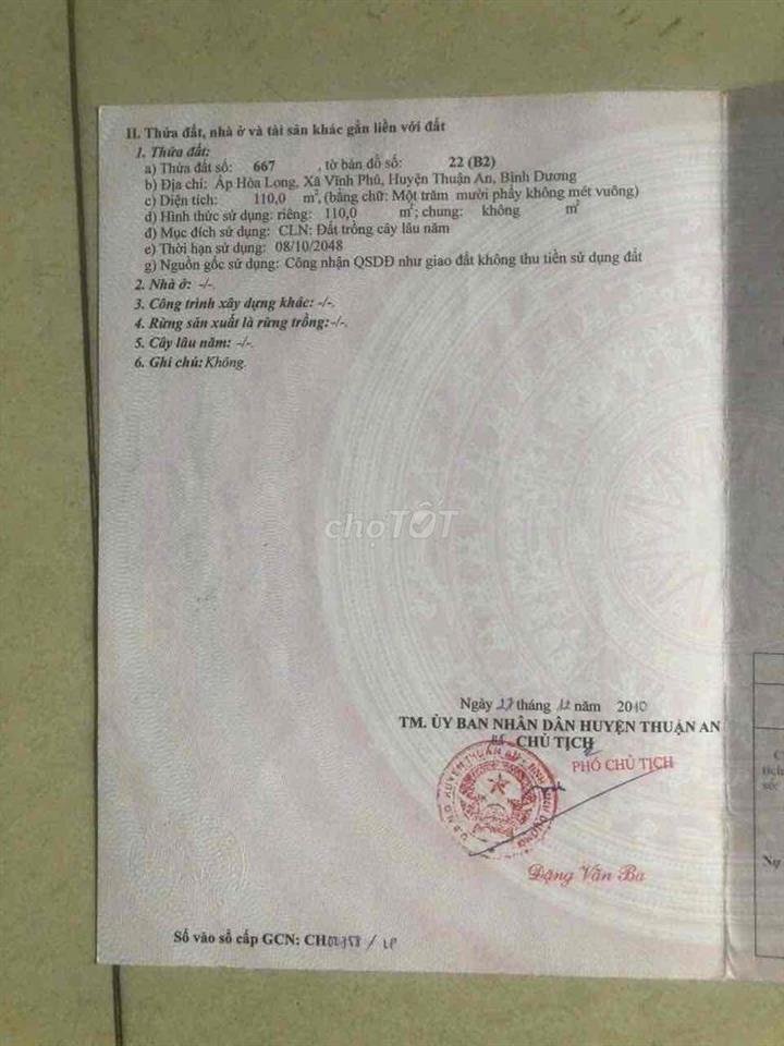 Bất động sản tại Bình Dương - ảnh 1