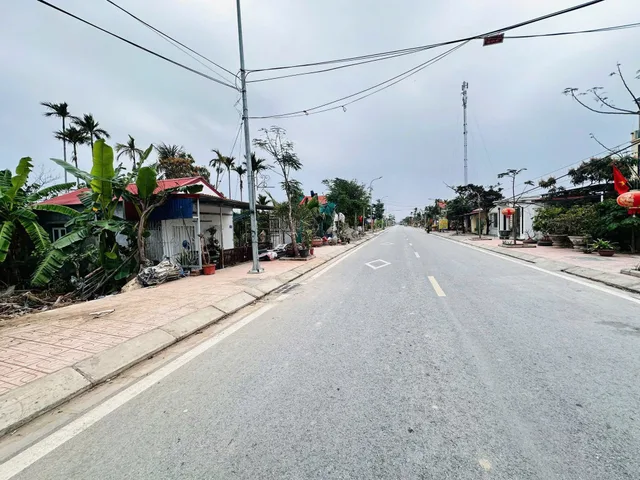 Bất động sản tại Hải Phòng - ảnh 1