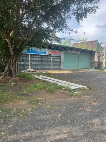 Bất động sản tại Lâm Đồng - ảnh 1