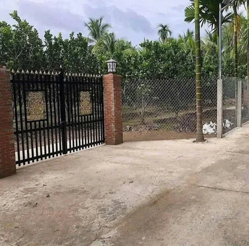 Bất động sản tại Bình Dương - ảnh 1