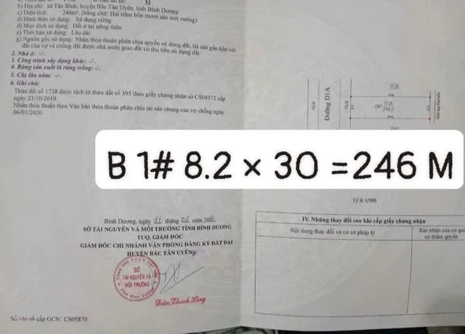 Bất động sản tại Bình Dương - ảnh 1