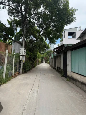 Bất động sản tại Bình Dương - ảnh 1