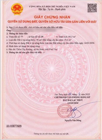 Bất động sản tại Phú Thọ - ảnh 1