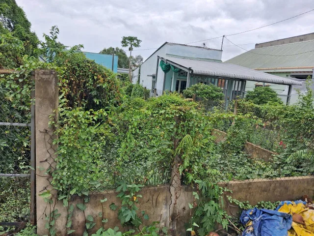 Bất động sản tại Long An - ảnh 1