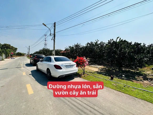 Bất động sản tại Bình Dương - ảnh 1